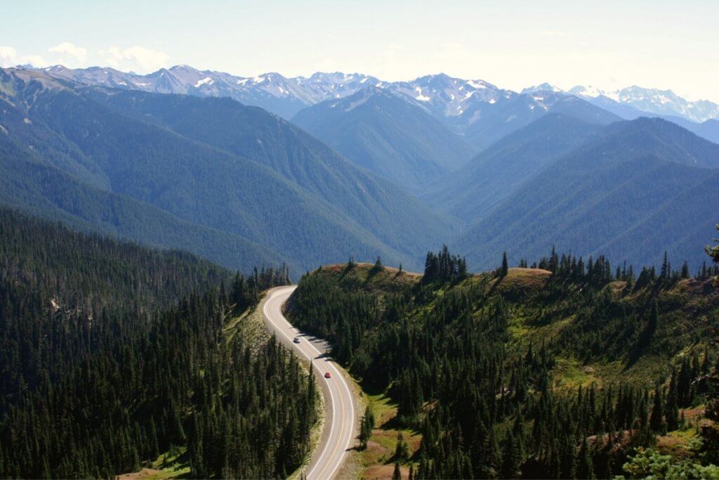 A road winding through the mountains in Olympic National Park Washington state