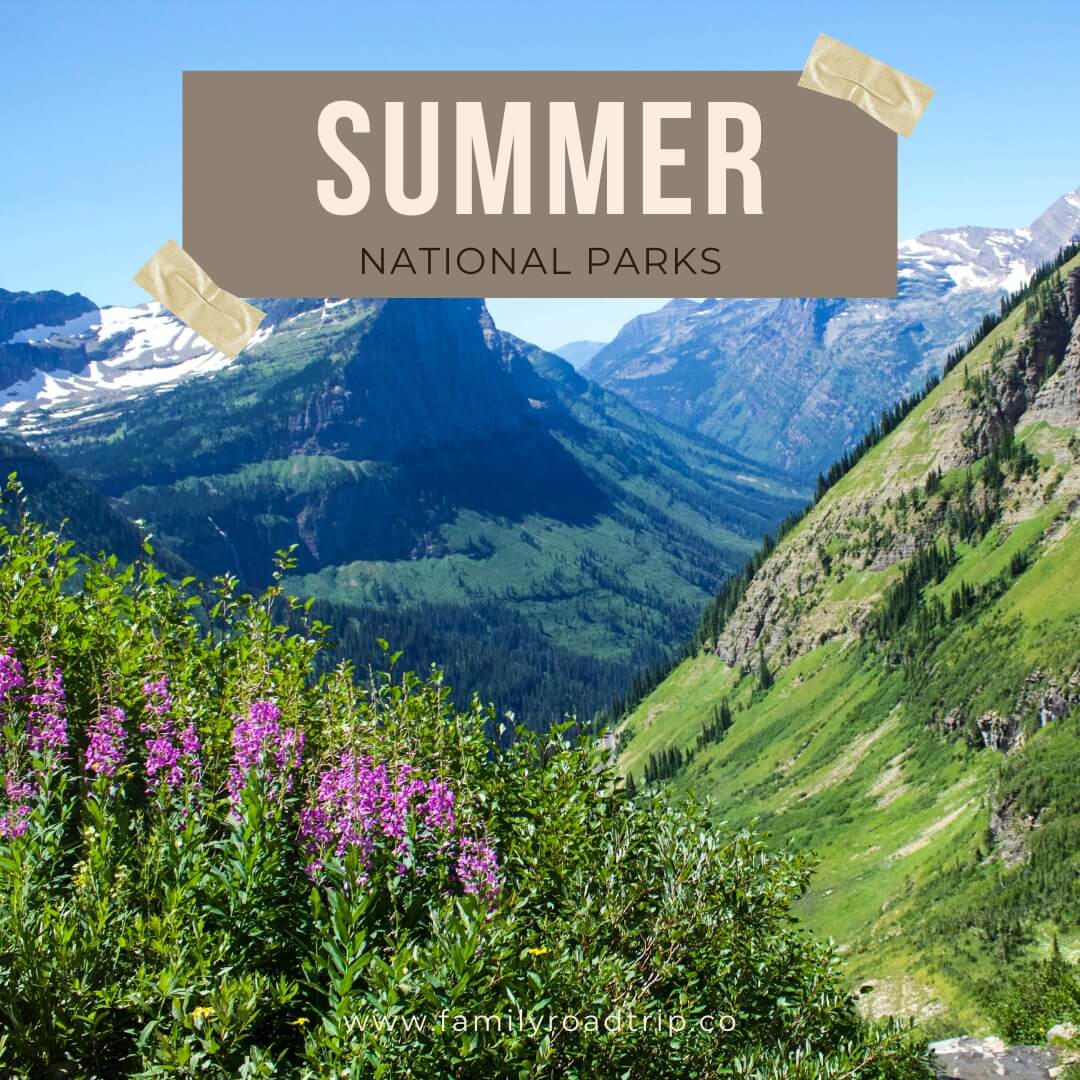 NATIONAL PARK FREE DAYS 2025 visual data 7