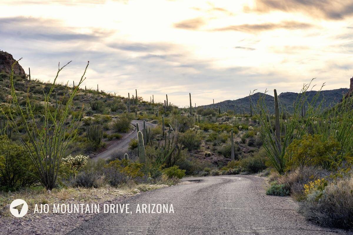 10 Incredibly Scenic Drives in Arizona