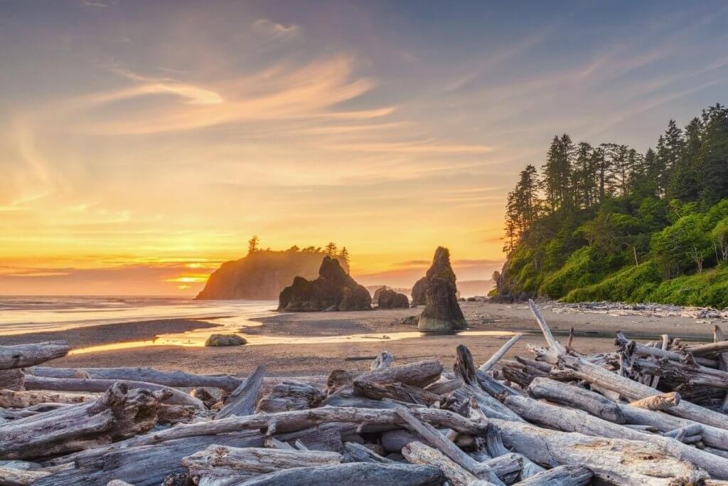 Sunset over the beach Olympic National Park