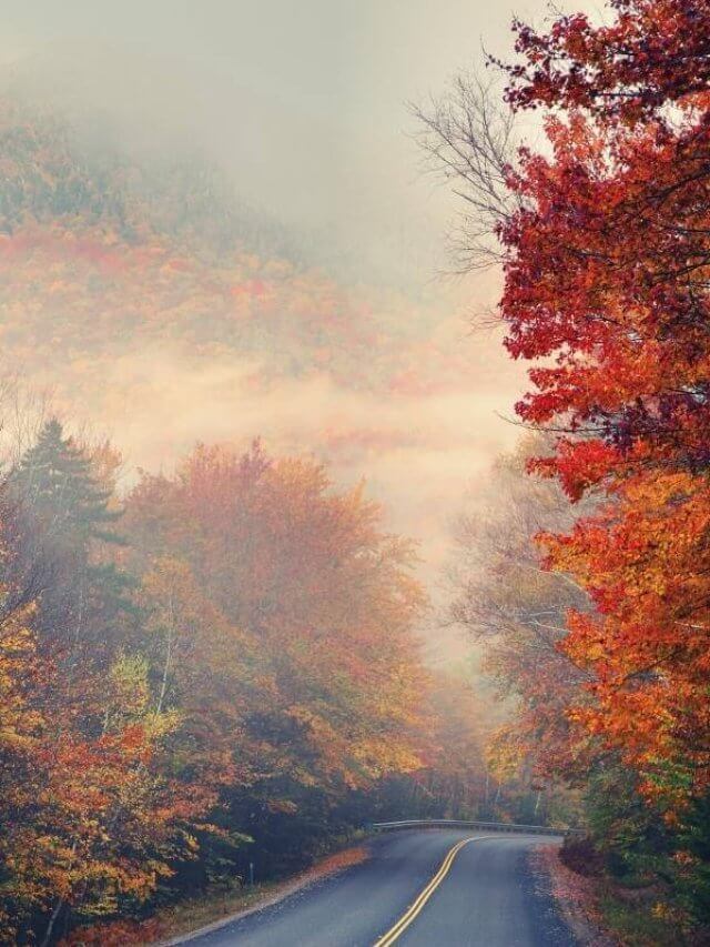 Fall colors on the Kancamagus Highway New Hampshire