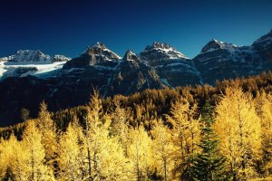 Fall colors in Rocky Mountain national park