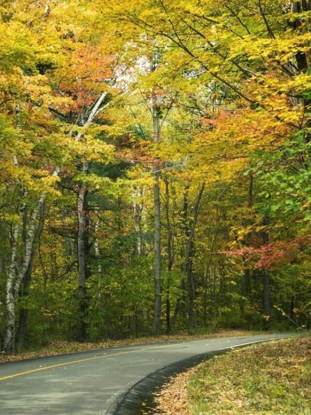 road through the Fall foliage Greylock MA Scenic Drive
