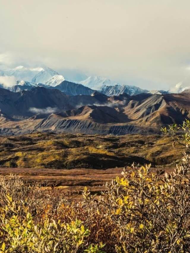 Denali National park and preserve - Alaska national parks