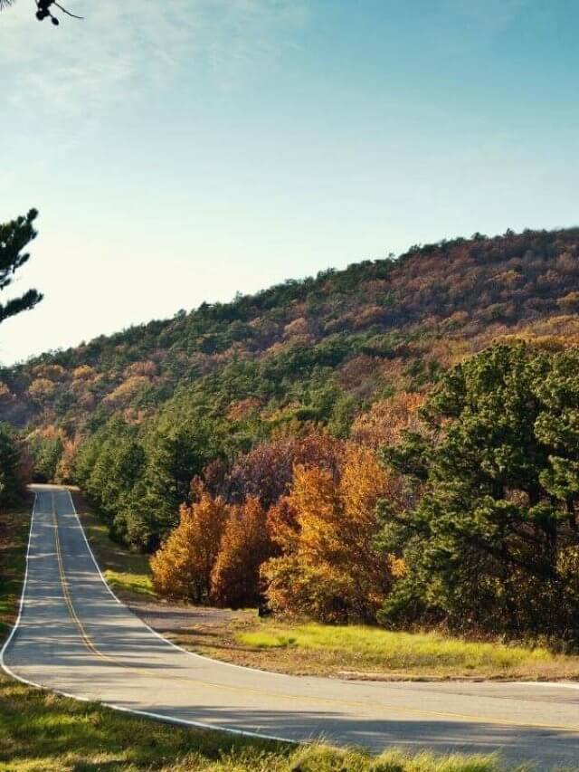 country road in Oklahoma in fall