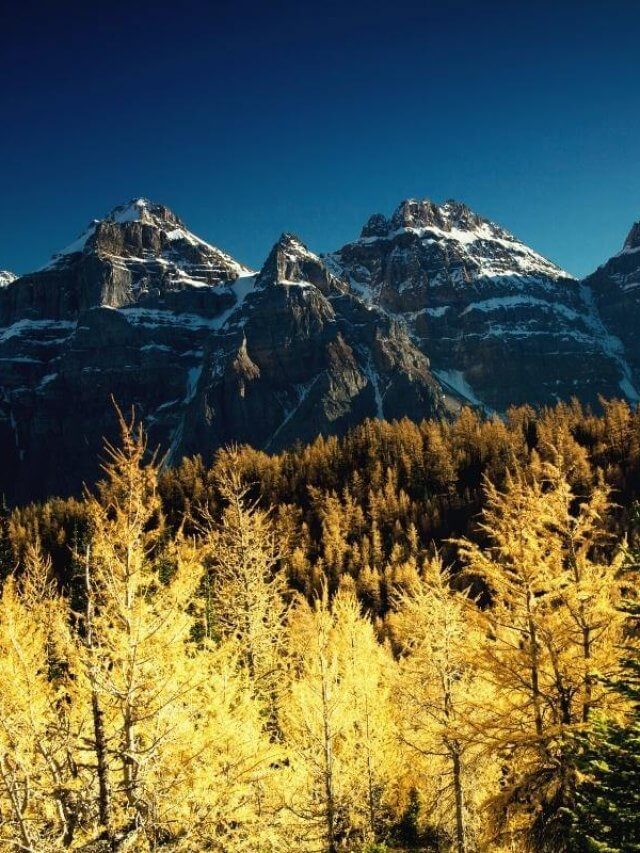 Fall colors in Rocky Mountain national park