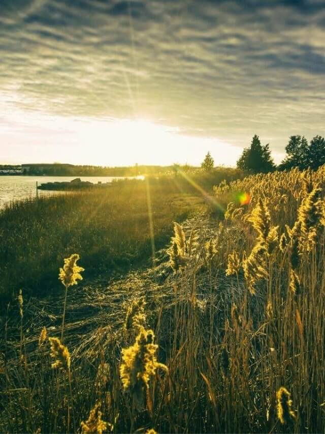 Beautiful land and seas scape of Rhode Island at sunset
