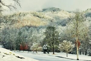 Family Road Trip - Breathtaking Winter Wonderland Destination in USA