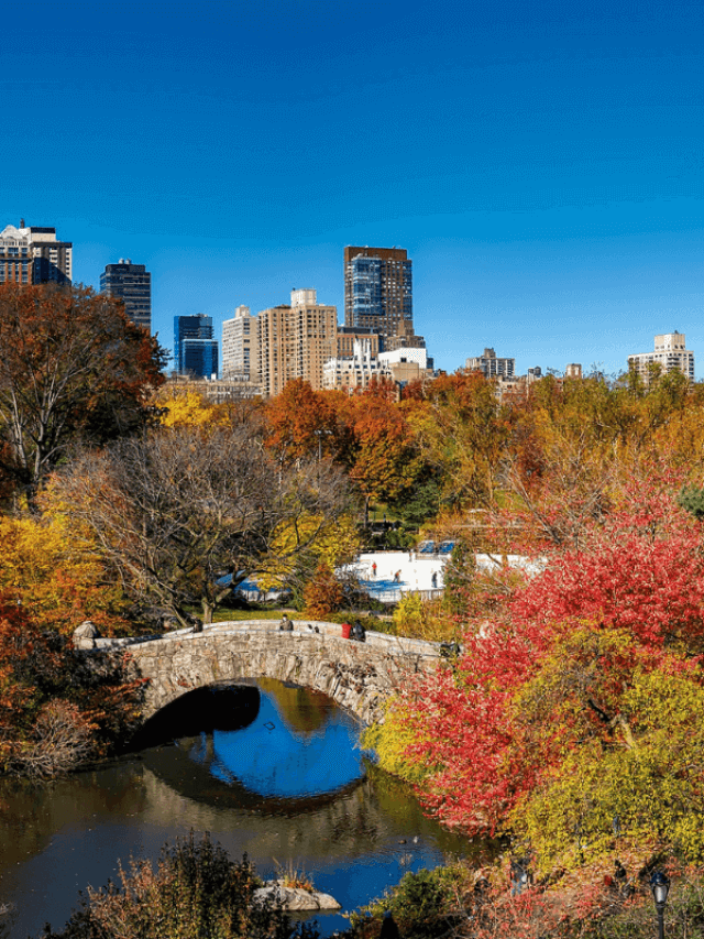 USA New York to Florida Family Road Trip - Central Park