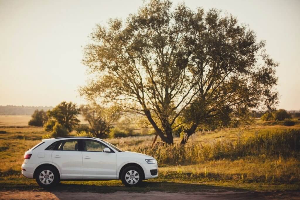 Family Road Trip - Best Cargo Box For Audi Q3 That Fits Your Lifestyle