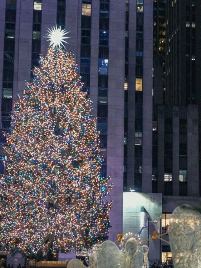 Family Road Trip - Warm Winter Vacations in the USA 