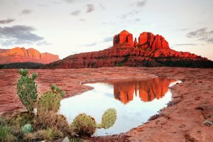 Family Road Trip - Places in Arizona You've Got to Visit for Desert Magic 