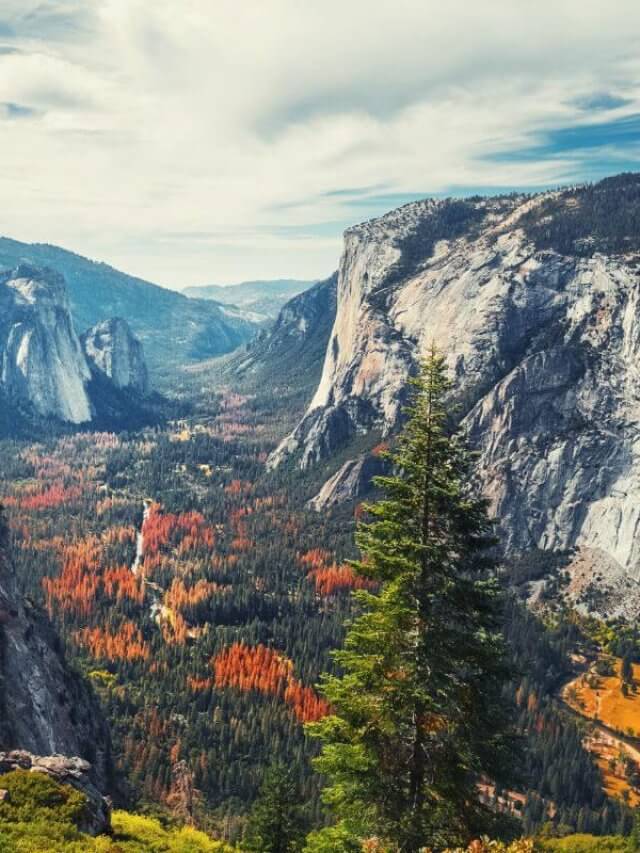 Family Road Trip - Yosemite to Death Valley