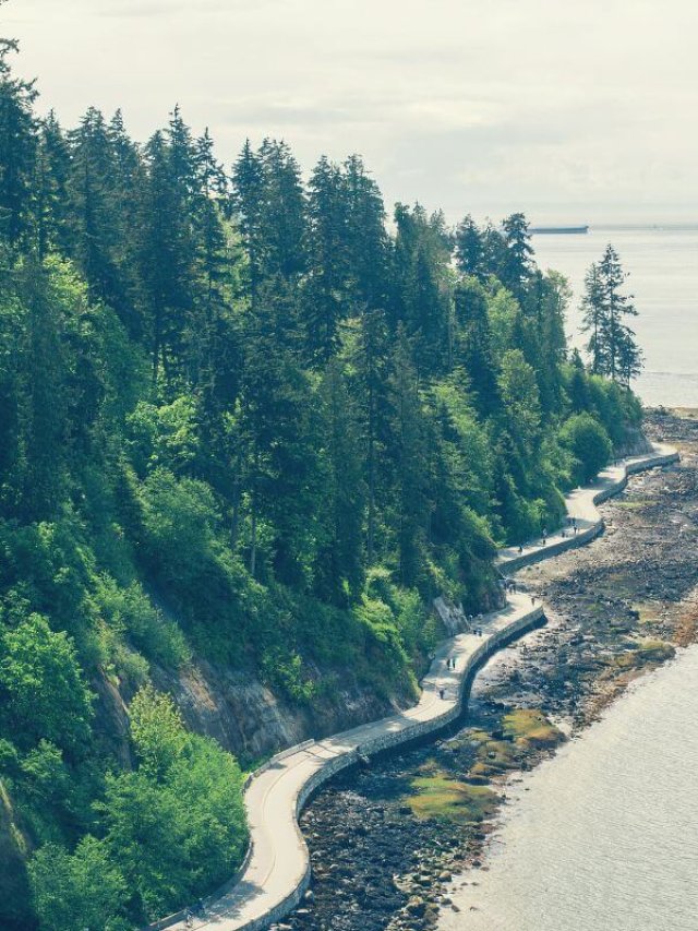 Family Road Trip - Road Trip Vancouver to San Francisco