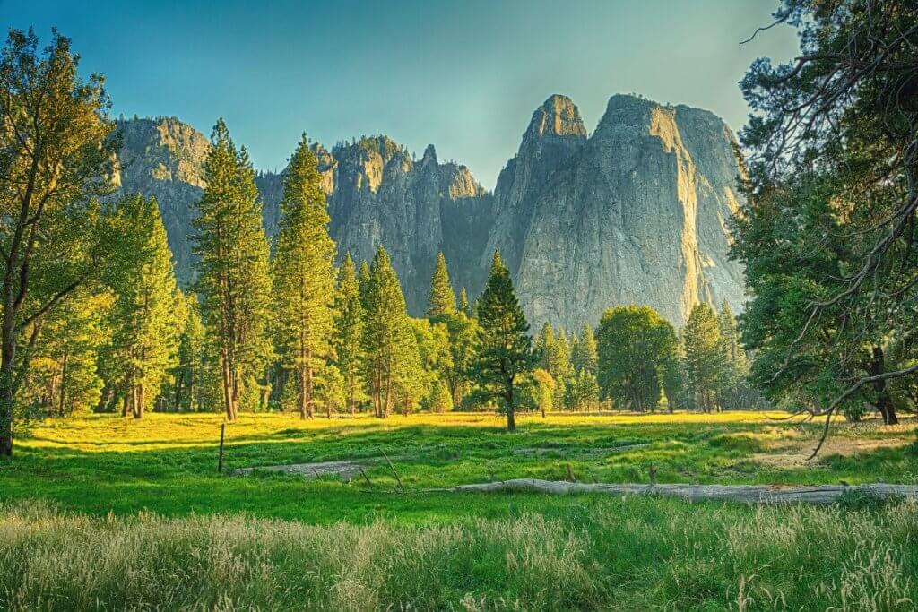 Family Road Trip - California National Park Road Trip