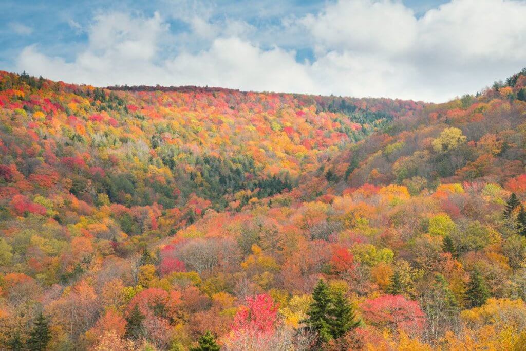 Family Road Trip - Scenic Drives in West Virginia
