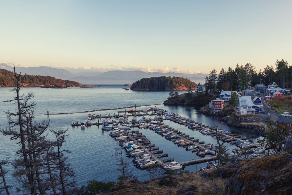 Family Road Trip - Vancouver Island Road Trip