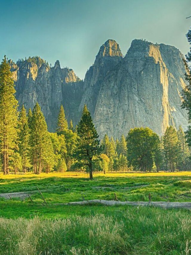 Family Road Trip - California National Park Road Trip