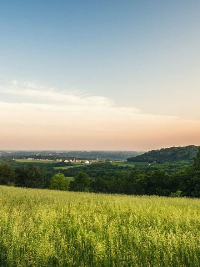 Family Road Trip - Scenic Drives in Illinois