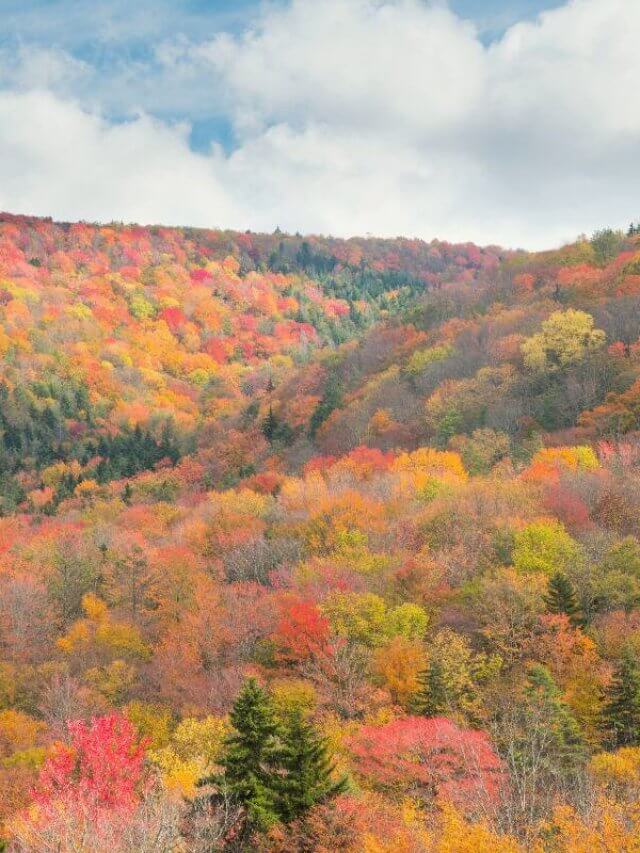 Wonderful Scenic Drives In West Virginia Story Family Road Trip