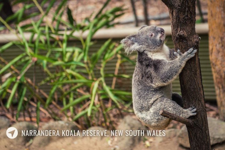 Melbourne to Gold Coast Drive Inland Route Through NSW Riverina