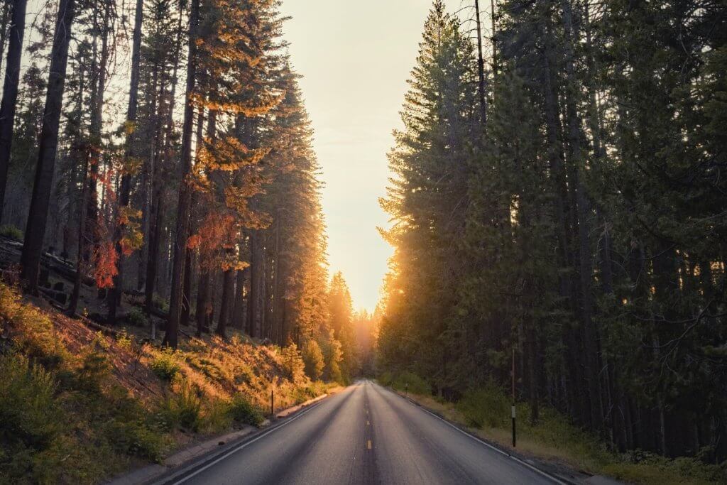 A sunset view of a road traveling through Yosemite National Park in California
