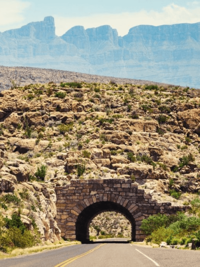 Houston To Big Bend poster cover image