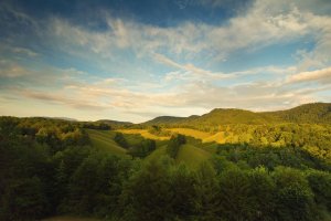 Family Road Trip - Scenic Drives in Tennessee