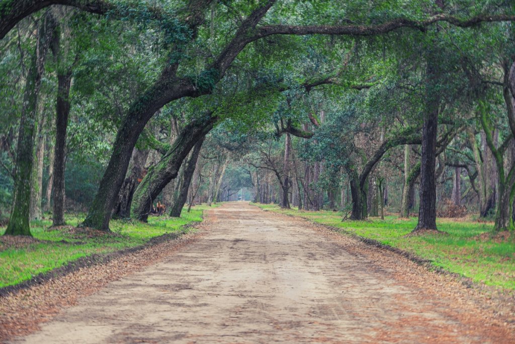 Botany Bay Park Drive in South Carolina