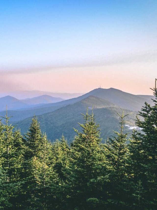 Family Road Trip - Scenic Drives in North Carolina