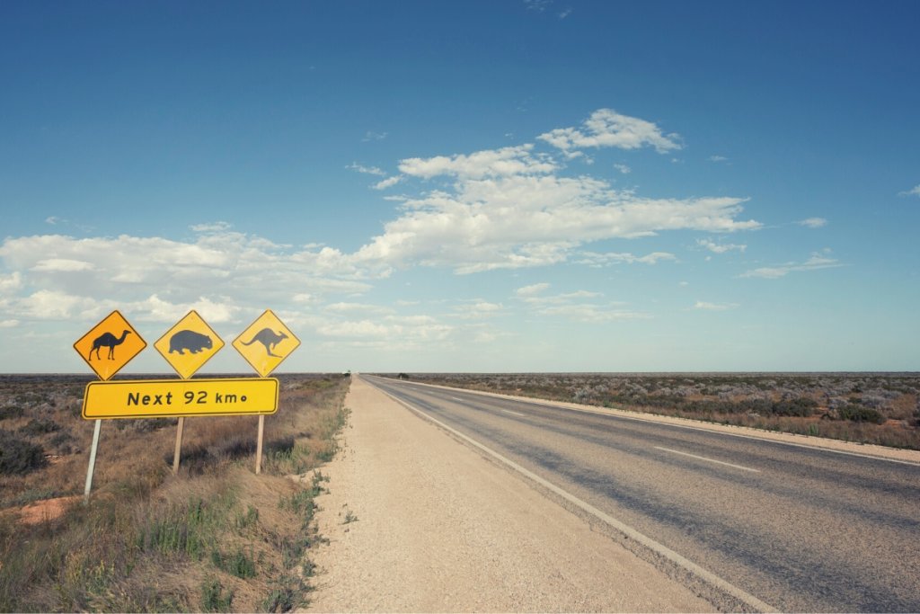 road signs on the nullarbor plain australia