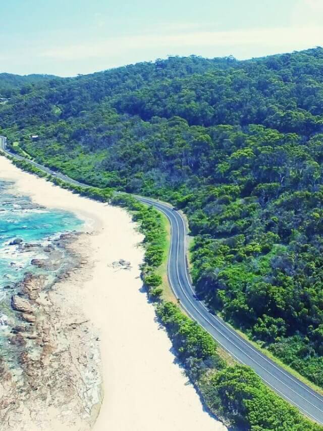 Family Road Trip - 2 Day Great Ocean Road Itinerary