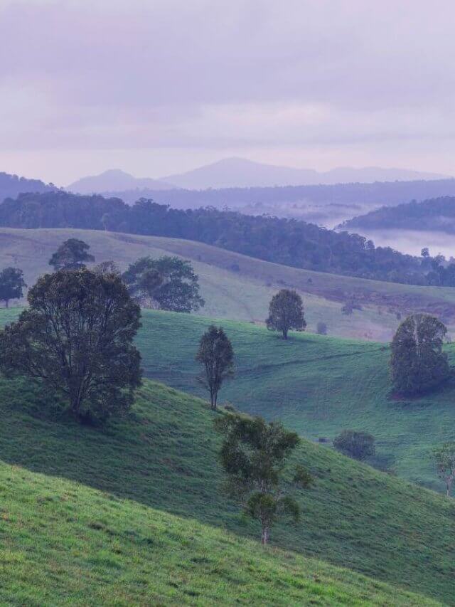 Family Road Trip - Darwin to Cairns Road Trip