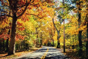fall foliage on a raod in new england - best new england road trips