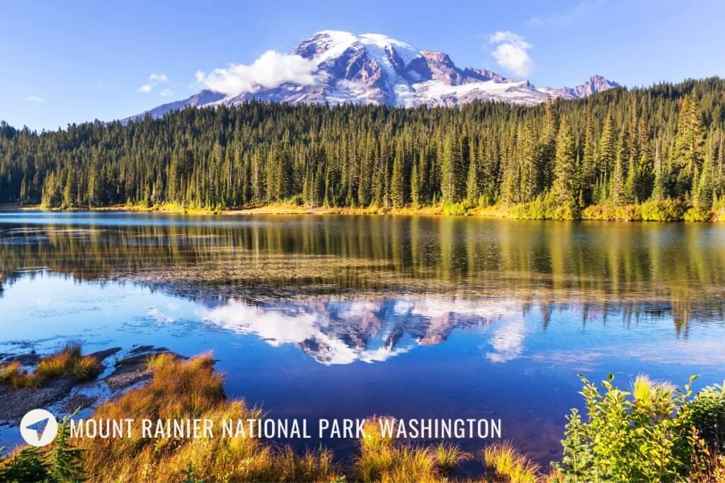 Mount Rainer National park with snow capped mountain and blue sky