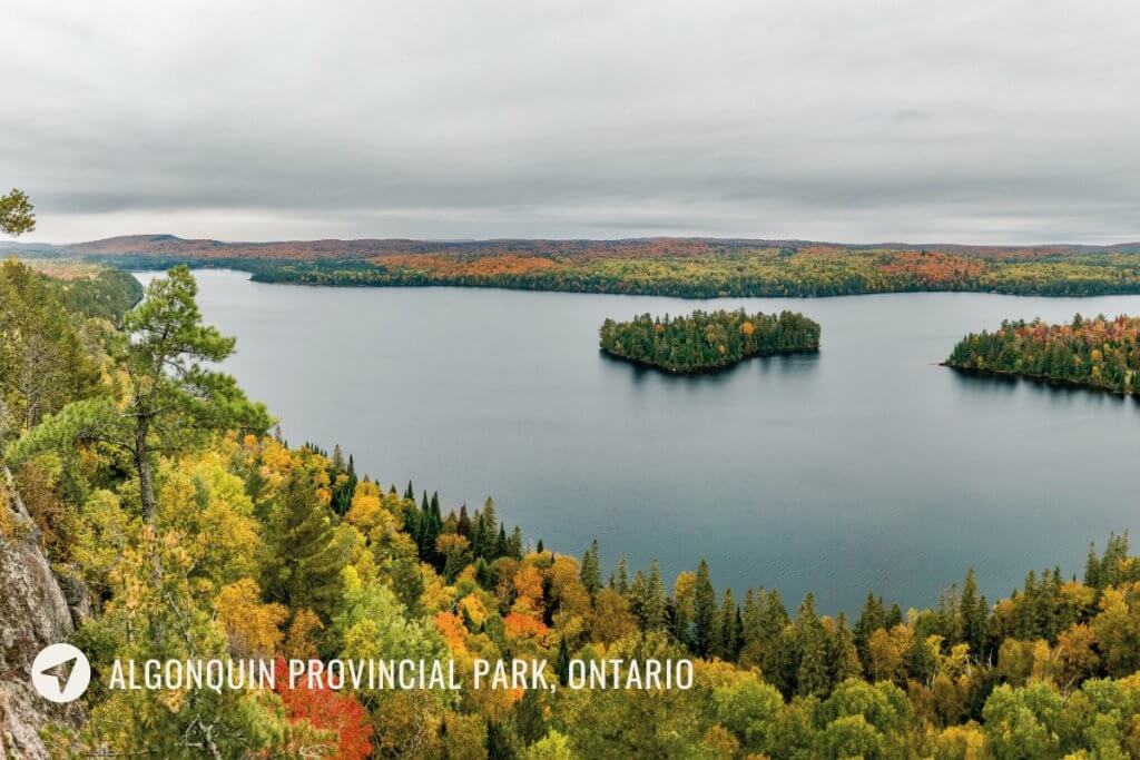 beautiful lake surrounded by fall colored tress in algonquin provincial park canada