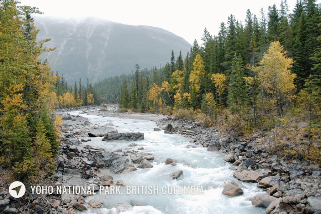 Yoho National Park river with fall colors