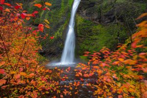 colorful horsetail falls columbia river gorge