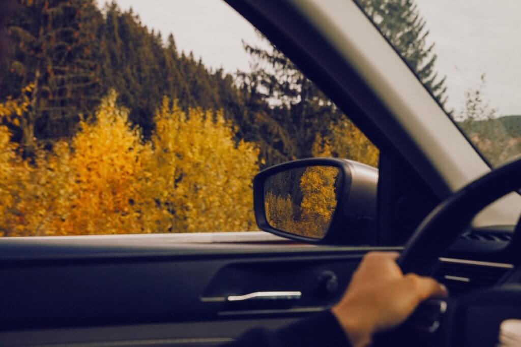 view inside a car someone driving in fall