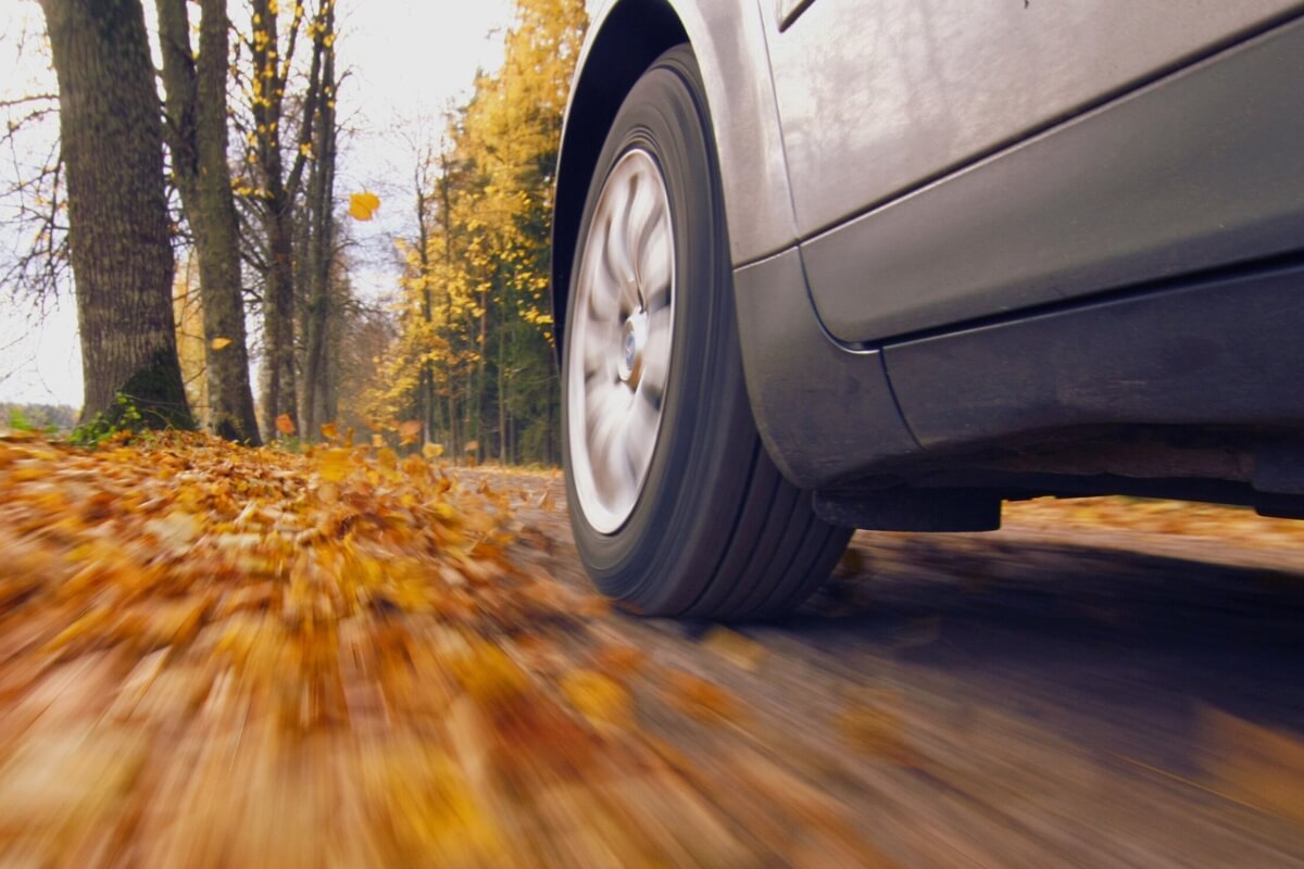 From Foliage to Frost: Essential Fall Driving Tips for Travelers