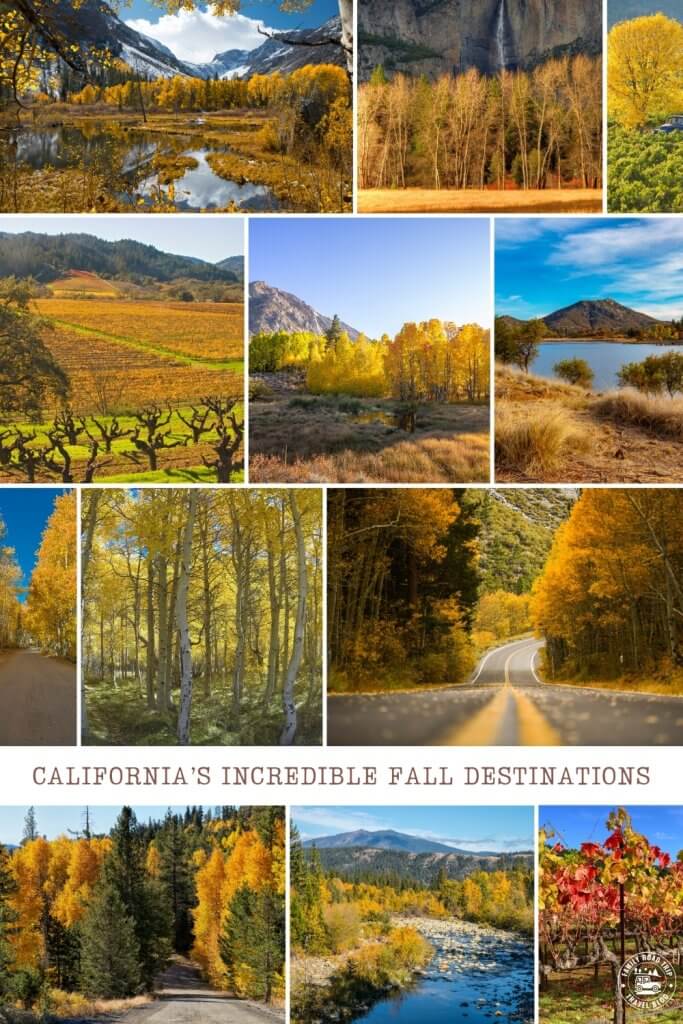 collage of images from fall in california