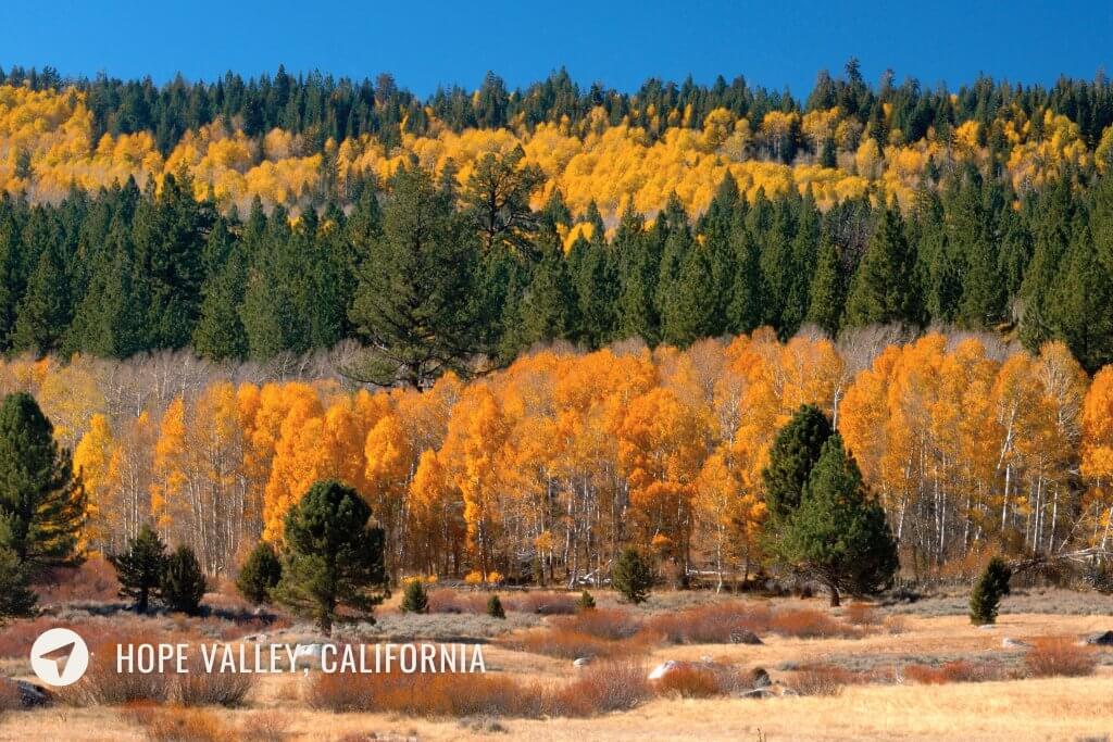 hope valley varied fall colors in california