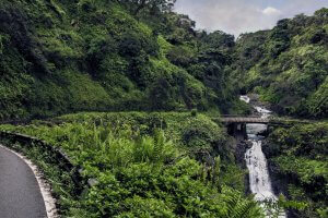 bridge and waterfall surrounded by lush greenery road to hana