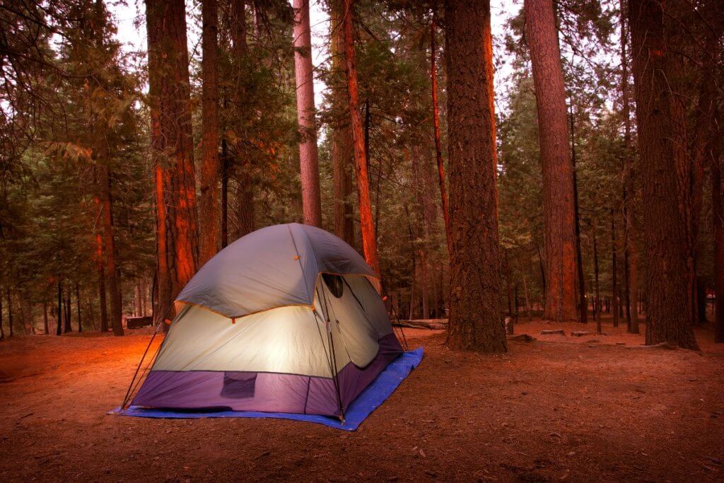 tent camping in yosemite twilight glow among the trees