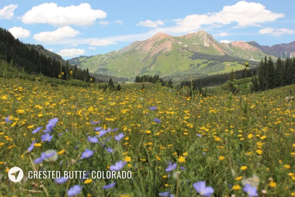 Blooming Adventures Family Friendly Wildflower Drives In The USA Blooming Adventures Family Friendly Wildflower Drives In The USA